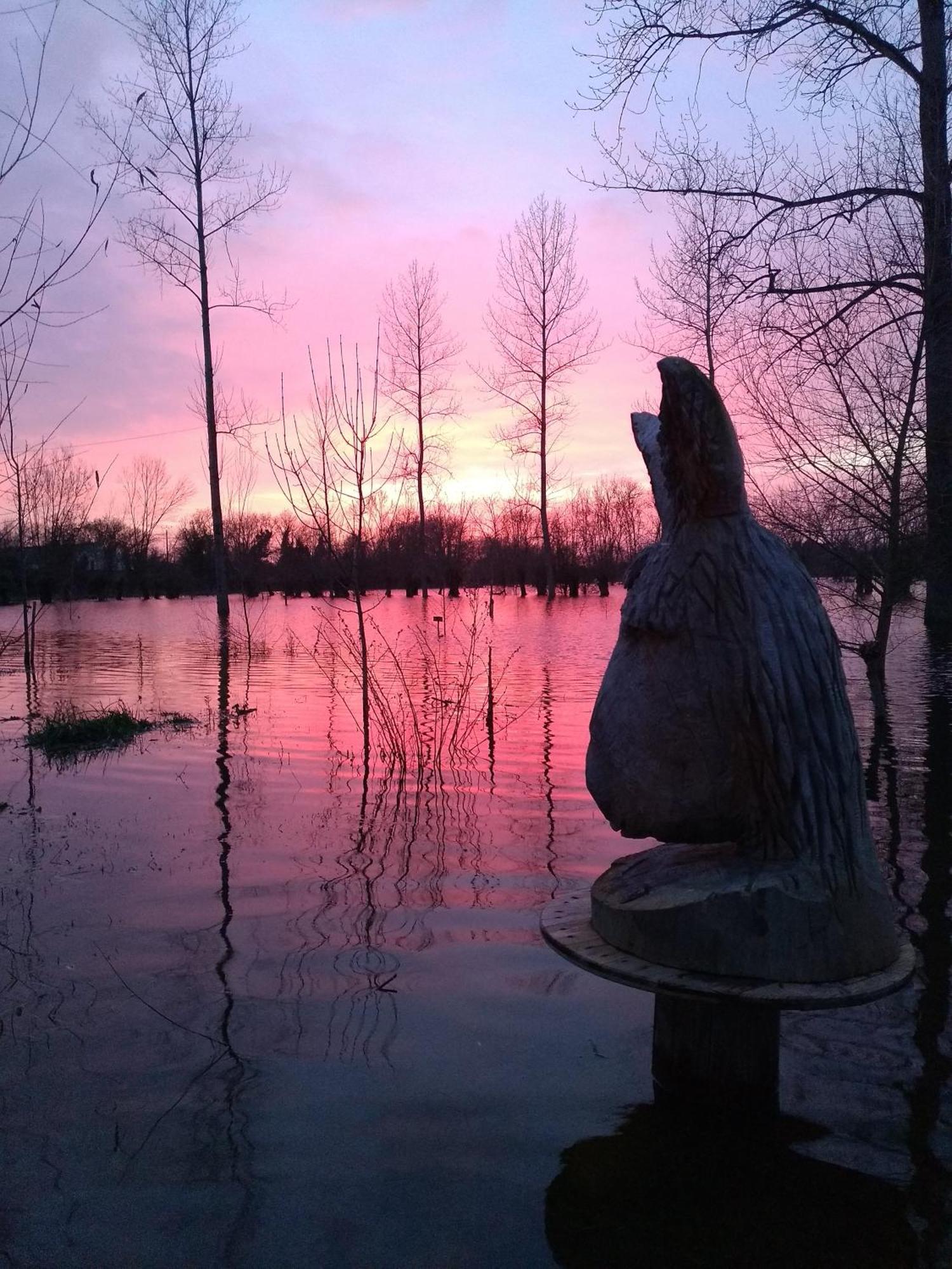 La Ferme Du Marais Poitevin - Roulotte Otel Benet Dış mekan fotoğraf