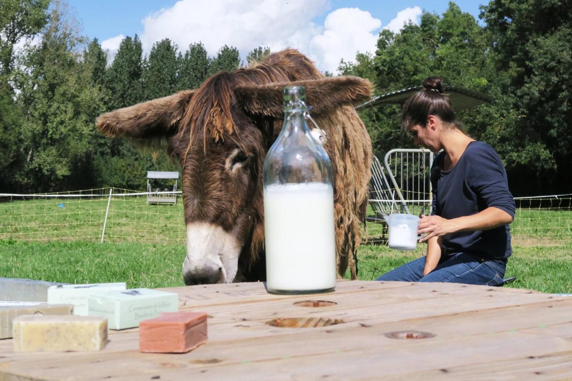 La Ferme Du Marais Poitevin - Roulotte Otel Benet Dış mekan fotoğraf