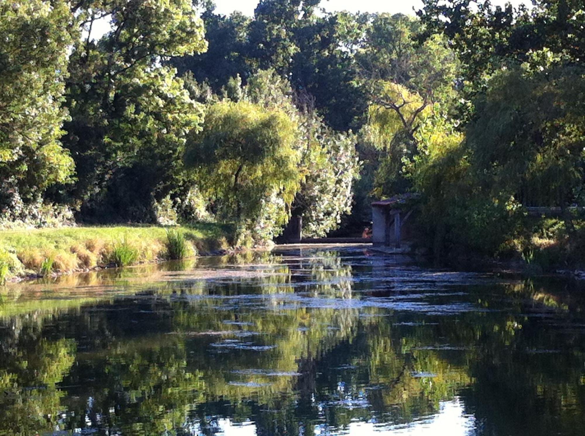 La Ferme Du Marais Poitevin - Roulotte Otel Benet Dış mekan fotoğraf